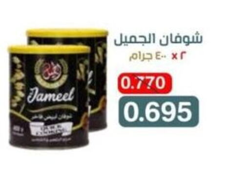  Oats  in North West Sulaibkhat Coop in Kuwait - Ahmadi Governorate