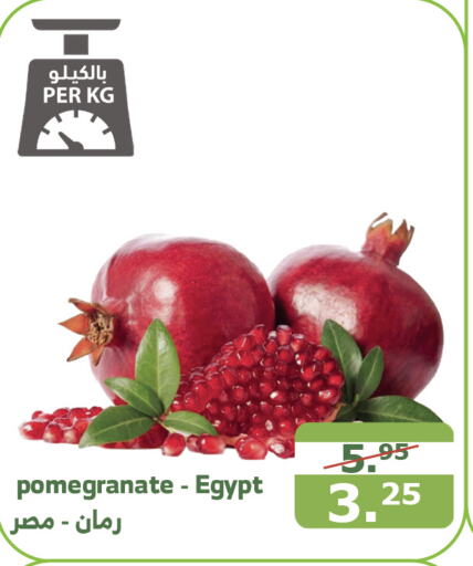  Pomegranate  in Al Raya in KSA, Saudi Arabia, Saudi - Yanbu