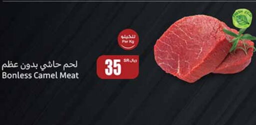  Camel meat  in Othaim Markets in KSA, Saudi Arabia, Saudi - Al Hasa