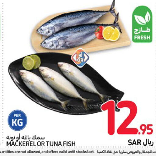  Tuna  in Carrefour in KSA, Saudi Arabia, Saudi - Medina