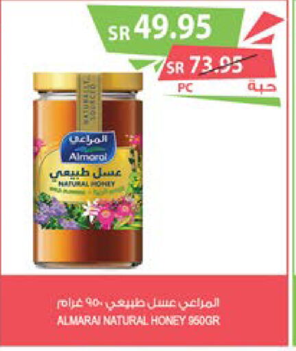 ALMARAI Honey  in Farm  in KSA, Saudi Arabia, Saudi - Yanbu