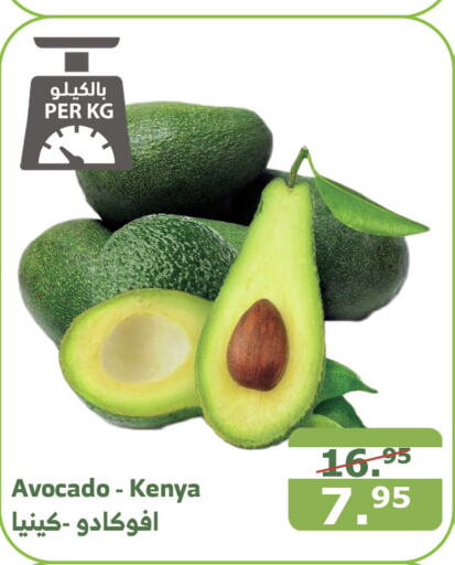  Avacado  in Al Raya in KSA, Saudi Arabia, Saudi - Yanbu