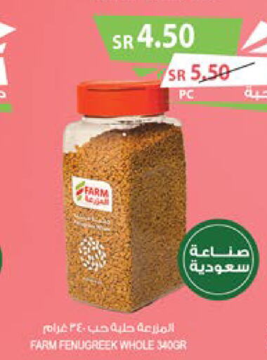  Spices  in Farm  in KSA, Saudi Arabia, Saudi - Jazan