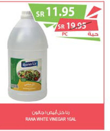  Vinegar  in Farm  in KSA, Saudi Arabia, Saudi - Qatif