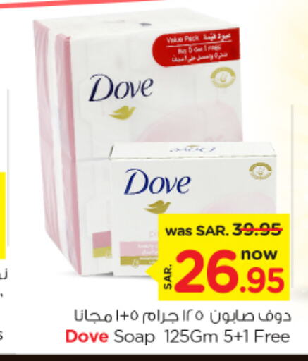 DOVE   in Nesto in KSA, Saudi Arabia, Saudi - Buraidah