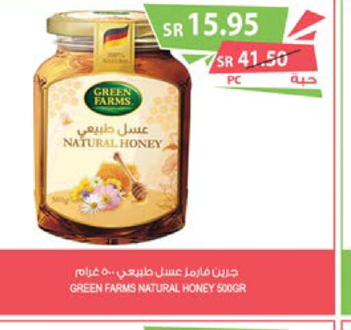  Honey  in Farm  in KSA, Saudi Arabia, Saudi - Qatif