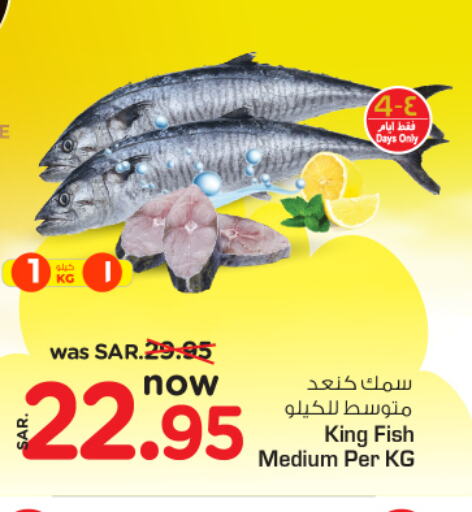  King Fish  in نستو in مملكة العربية السعودية, السعودية, سعودية - الأحساء‎