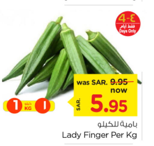  Lady's finger  in نستو in مملكة العربية السعودية, السعودية, سعودية - الأحساء‎