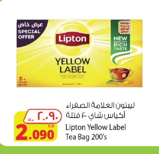 Lipton أكياس شاي  in شركة المنتجات الزراعية الغذائية in الكويت - محافظة الجهراء