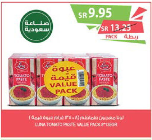 LUNA Tomato Paste  in Farm  in KSA, Saudi Arabia, Saudi - Tabuk