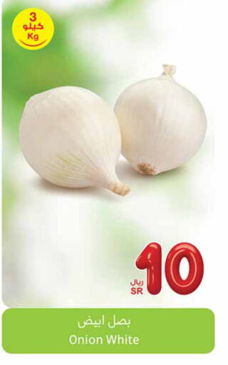  White Onion  in Othaim Markets in KSA, Saudi Arabia, Saudi - Khamis Mushait