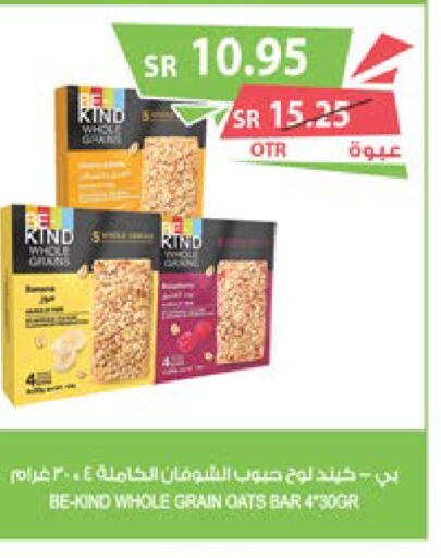  Oats  in Farm  in KSA, Saudi Arabia, Saudi - Yanbu