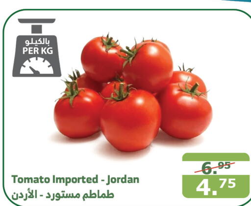  Tomato  in Al Raya in KSA, Saudi Arabia, Saudi - Tabuk