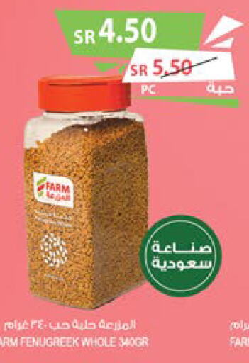  Spices  in Farm  in KSA, Saudi Arabia, Saudi - Qatif