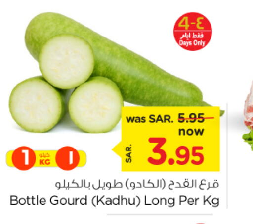  Gourd  in نستو in مملكة العربية السعودية, السعودية, سعودية - الأحساء‎