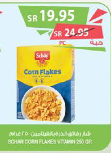  Corn Flakes  in Farm  in KSA, Saudi Arabia, Saudi - Yanbu