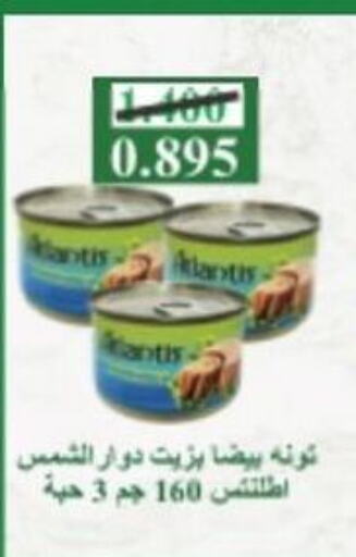  Tuna - Canned  in  in الكويت - مدينة الكويت