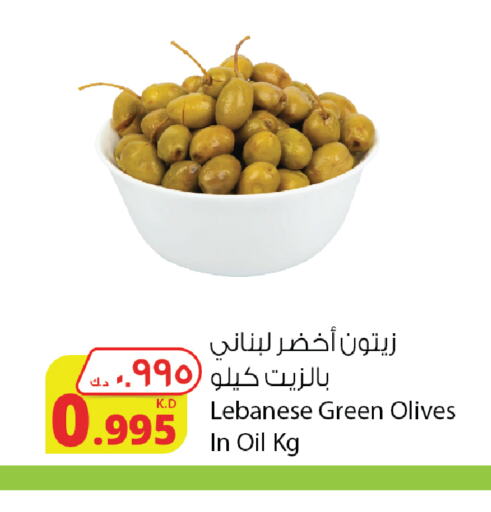  Olive Oil  in Agricultural Food Products Co. in Kuwait - Ahmadi Governorate