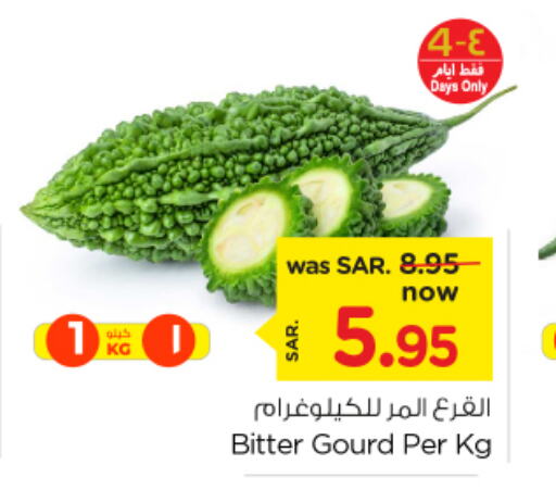  Gourd  in نستو in مملكة العربية السعودية, السعودية, سعودية - الأحساء‎