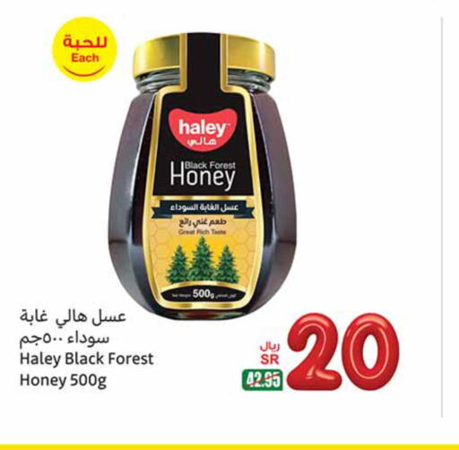 HALEY Honey  in Othaim Markets in KSA, Saudi Arabia, Saudi - Yanbu