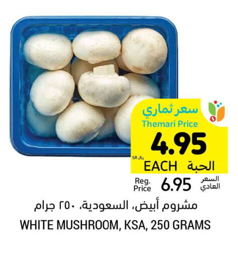  Mushroom  in Tamimi Market in KSA, Saudi Arabia, Saudi - Buraidah