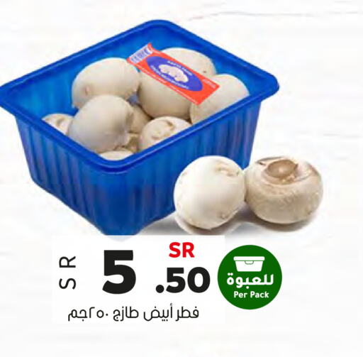  Mushroom  in Al Amer Market in KSA, Saudi Arabia, Saudi - Al Hasa