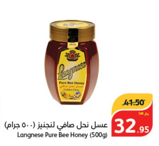  Honey  in Hyper Panda in KSA, Saudi Arabia, Saudi - Yanbu