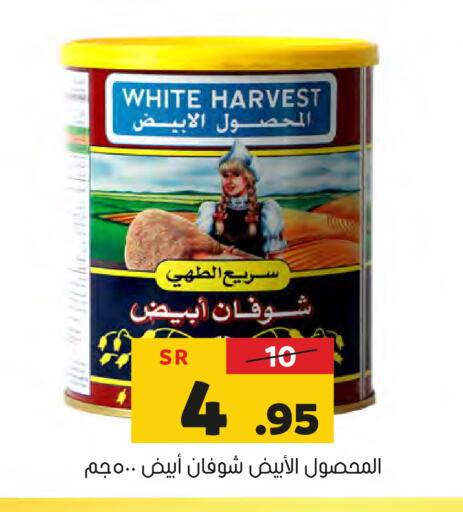  Oats  in Al Amer Market in KSA, Saudi Arabia, Saudi - Al Hasa