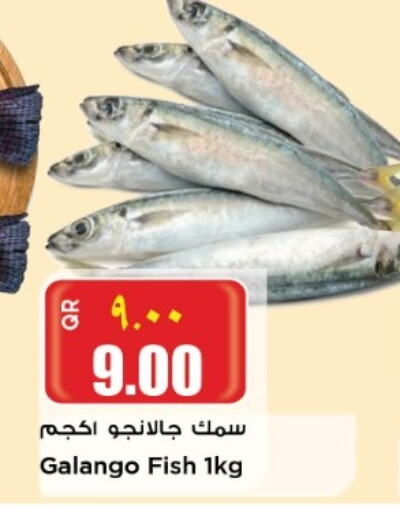    in Retail Mart in Qatar - Al Rayyan