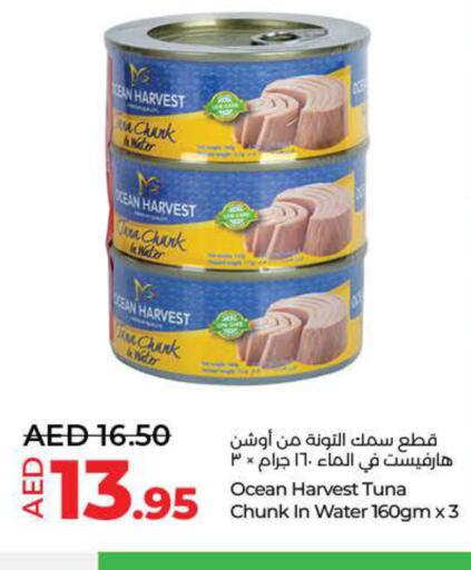  Tuna - Canned  in لولو هايبرماركت in الإمارات العربية المتحدة , الامارات - دبي