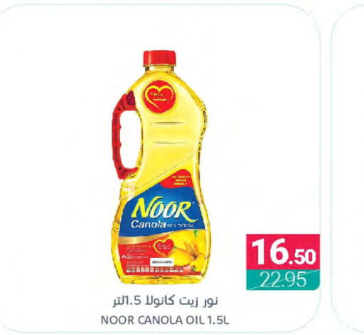 NOOR Canola Oil  in Muntazah Markets in KSA, Saudi Arabia, Saudi - Dammam