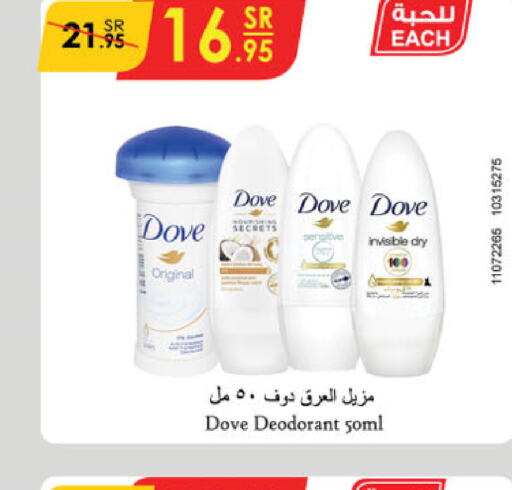 DOVE   in Danube in KSA, Saudi Arabia, Saudi - Ta'if