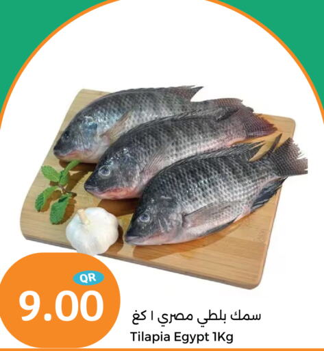    in City Hypermarket in Qatar - Al Rayyan