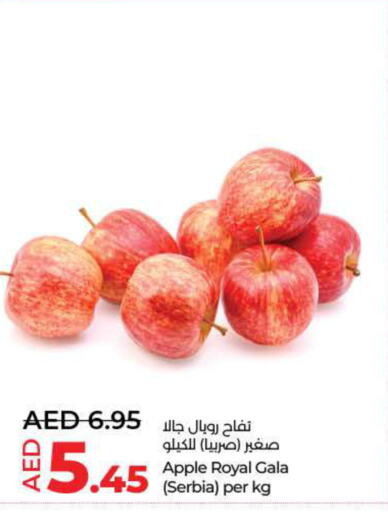  Apples  in لولو هايبرماركت in الإمارات العربية المتحدة , الامارات - دبي