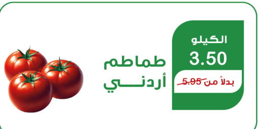  Tomato  in Home Market in KSA, Saudi Arabia, Saudi - Mecca