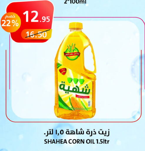  Corn Oil  in Khair beladi market in KSA, Saudi Arabia, Saudi - Yanbu