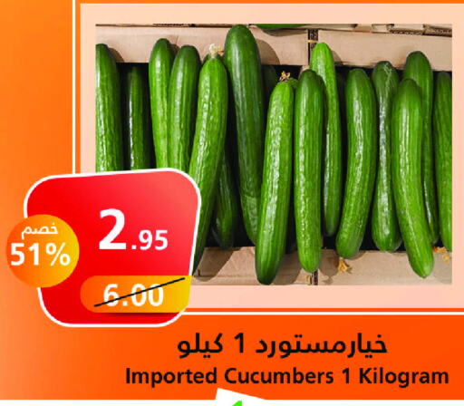  Cucumber  in أسواق خير بلادي الاولى in مملكة العربية السعودية, السعودية, سعودية - ينبع