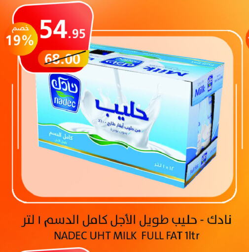 NADEC Long Life / UHT Milk  in Khair beladi market in KSA, Saudi Arabia, Saudi - Yanbu