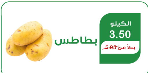  Potato  in هوم ماركت in مملكة العربية السعودية, السعودية, سعودية - مكة المكرمة