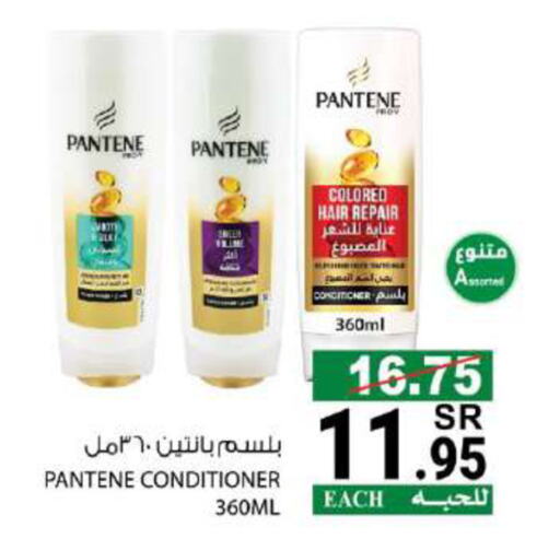 PANTENE Shampoo / Conditioner  in House Care in KSA, Saudi Arabia, Saudi - Mecca