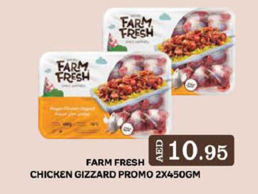 FARM FRESH Chicken Gizzard  in West Zone Supermarket in UAE - Sharjah / Ajman