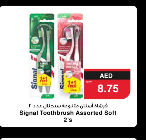 SIGNAL فرشاة أسنان  in سبار هايبرماركت in الإمارات العربية المتحدة , الامارات - ٱلْعَيْن‎