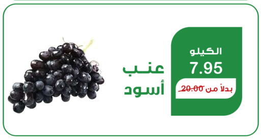  Grapes  in هوم ماركت in مملكة العربية السعودية, السعودية, سعودية - مكة المكرمة