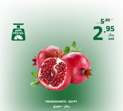  Pomegranate  in Al Raya in KSA, Saudi Arabia, Saudi - Yanbu