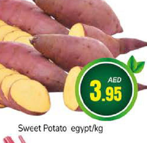  Sweet Potato  in مجموعة باسونس in الإمارات العربية المتحدة , الامارات - دبي