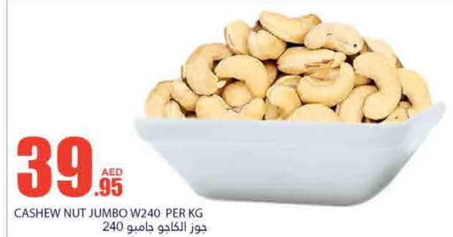    in Bismi Wholesale in UAE - Dubai