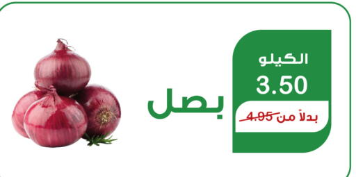  Onion  in Home Market in KSA, Saudi Arabia, Saudi - Mecca