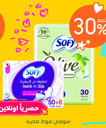 SOFY   in  النهدي in مملكة العربية السعودية, السعودية, سعودية - وادي الدواسر