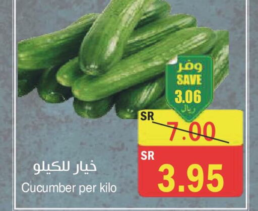  Cucumber  in  Green Center in KSA, Saudi Arabia, Saudi - Dammam