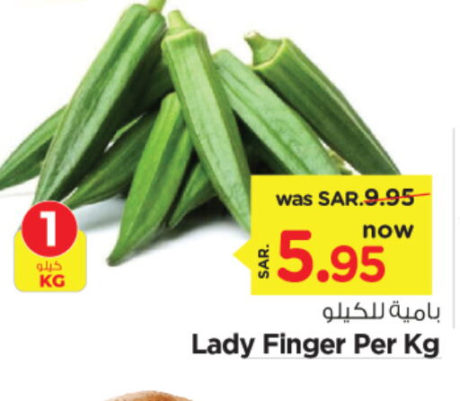  Lady's finger  in Nesto in KSA, Saudi Arabia, Saudi - Al Hasa